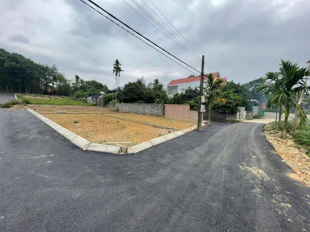 Bất động sản tại Phú Thọ - ảnh 1