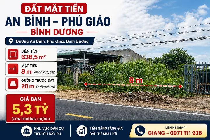Bất động sản tại Bình Dương - ảnh 1