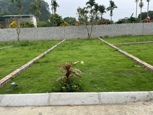 Bất động sản tại Phú Thọ - ảnh 1