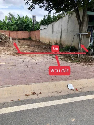 Bất động sản tại Bình Dương - ảnh 1