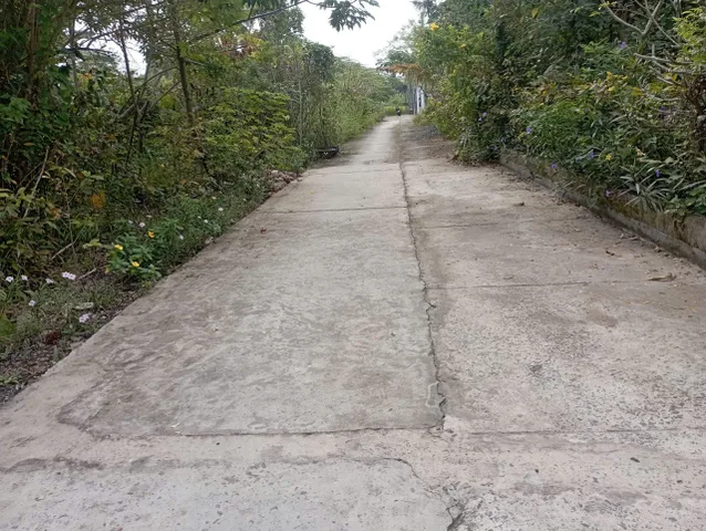 Bất động sản tại Cần Thơ - ảnh 1