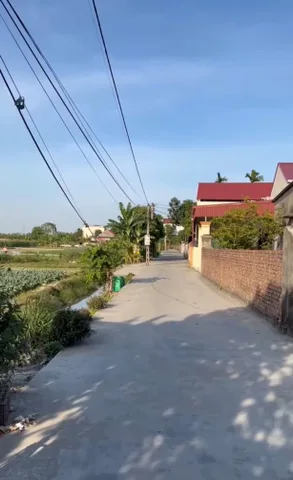 Bất động sản tại Hải Phòng - ảnh 1