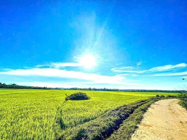 Bất động sản tại Đắk Lắk - ảnh 1