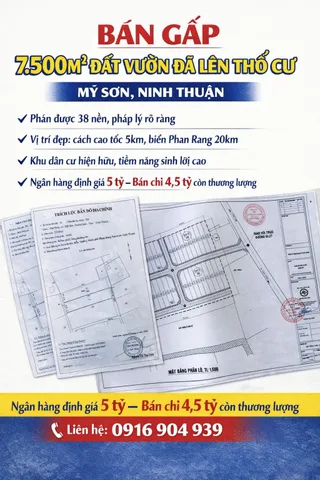 Bất động sản tại Ninh Thuận - ảnh 1