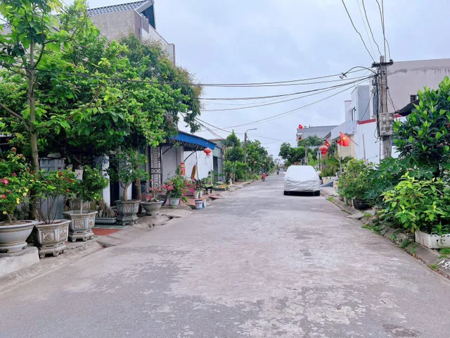 Bất động sản tại Hải Phòng - ảnh 1
