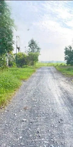 Bất động sản tại Long An - ảnh 1