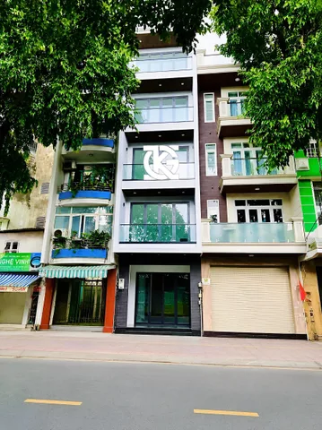 Bất động sản tại TP. Hồ Chí Minh - ảnh 1
