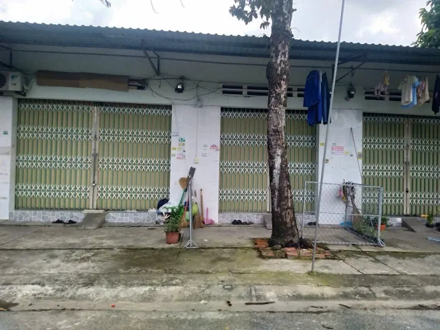 Bất động sản tại Bình Dương - ảnh 1