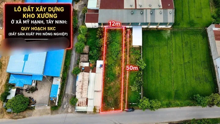 Bất động sản tại Tây Ninh - ảnh 1