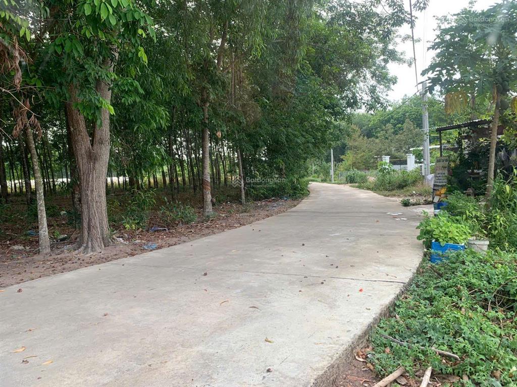 Bất động sản tại Bình Phước - ảnh 1