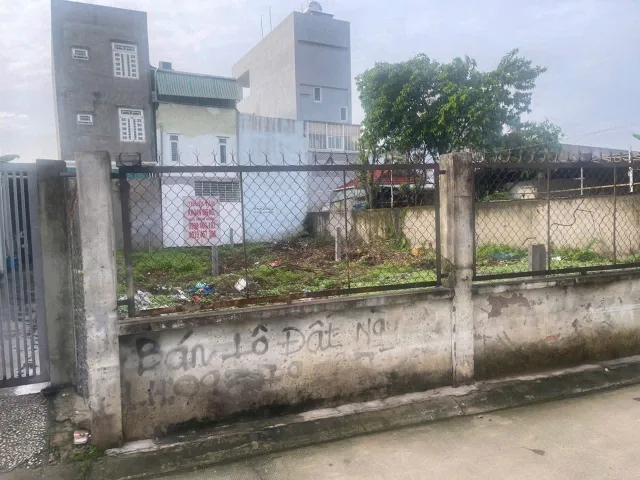 Bất động sản tại Bình Dương - ảnh 1
