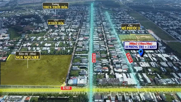 Bất động sản tại Bình Dương - ảnh 1