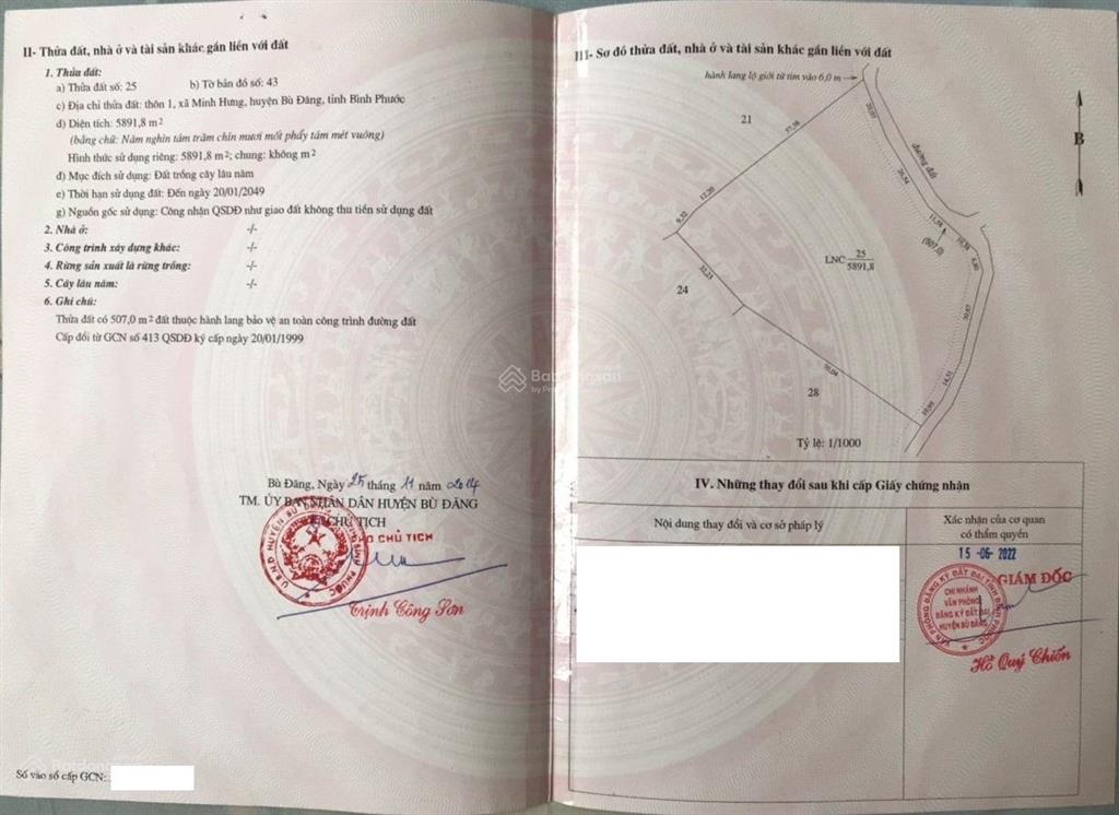 Bất động sản tại Bình Phước - ảnh 1