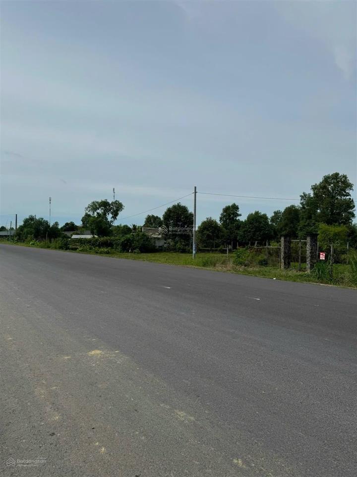 Bất động sản tại Long An - ảnh 1