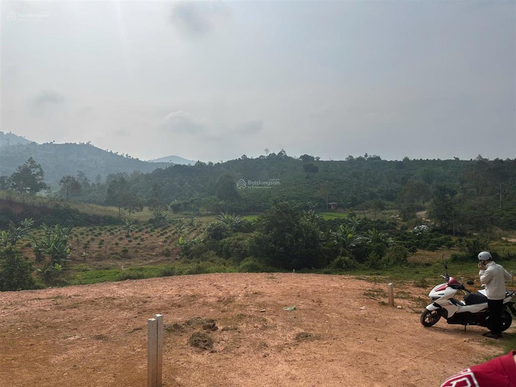 Bất động sản tại Lâm Đồng - ảnh 1
