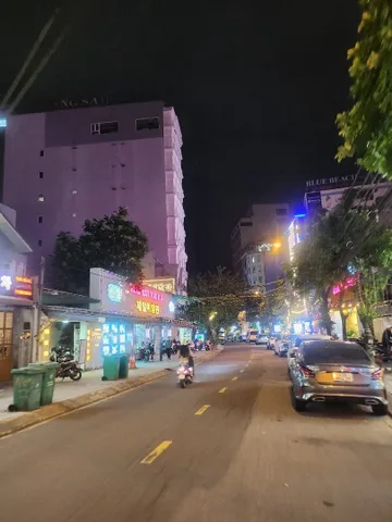 Bất động sản tại Đà Nẵng - ảnh 1