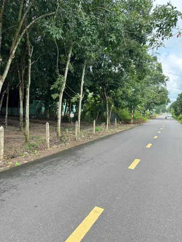 Bất động sản tại Bình Dương - ảnh 1