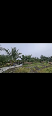 Bất động sản tại Long An - ảnh 1