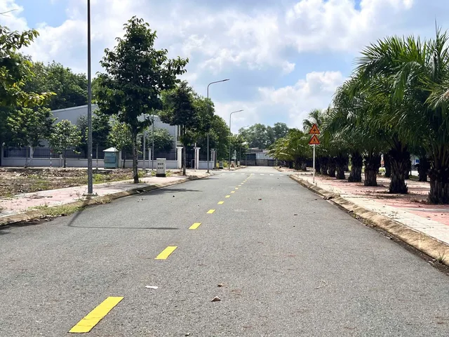 Bất động sản tại Bình Dương - ảnh 1