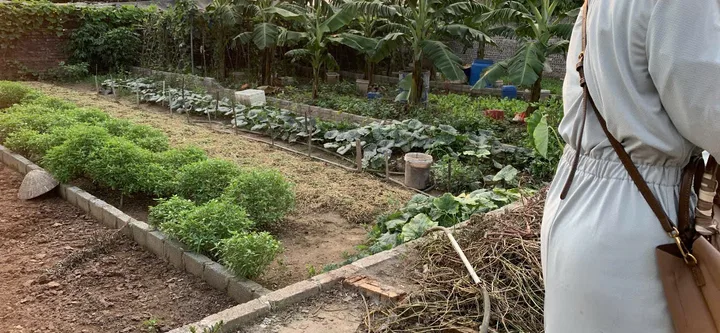Bất động sản tại Hưng Yên - ảnh 1