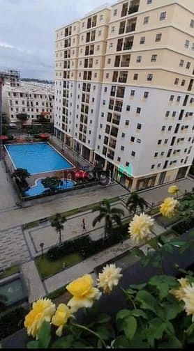 Căn hộ / chung cư tại Gò Vấp, TP. Hồ Chí Minh - ảnh 4