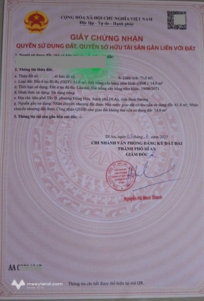 Bất động sản tại Bình Dương - ảnh 1