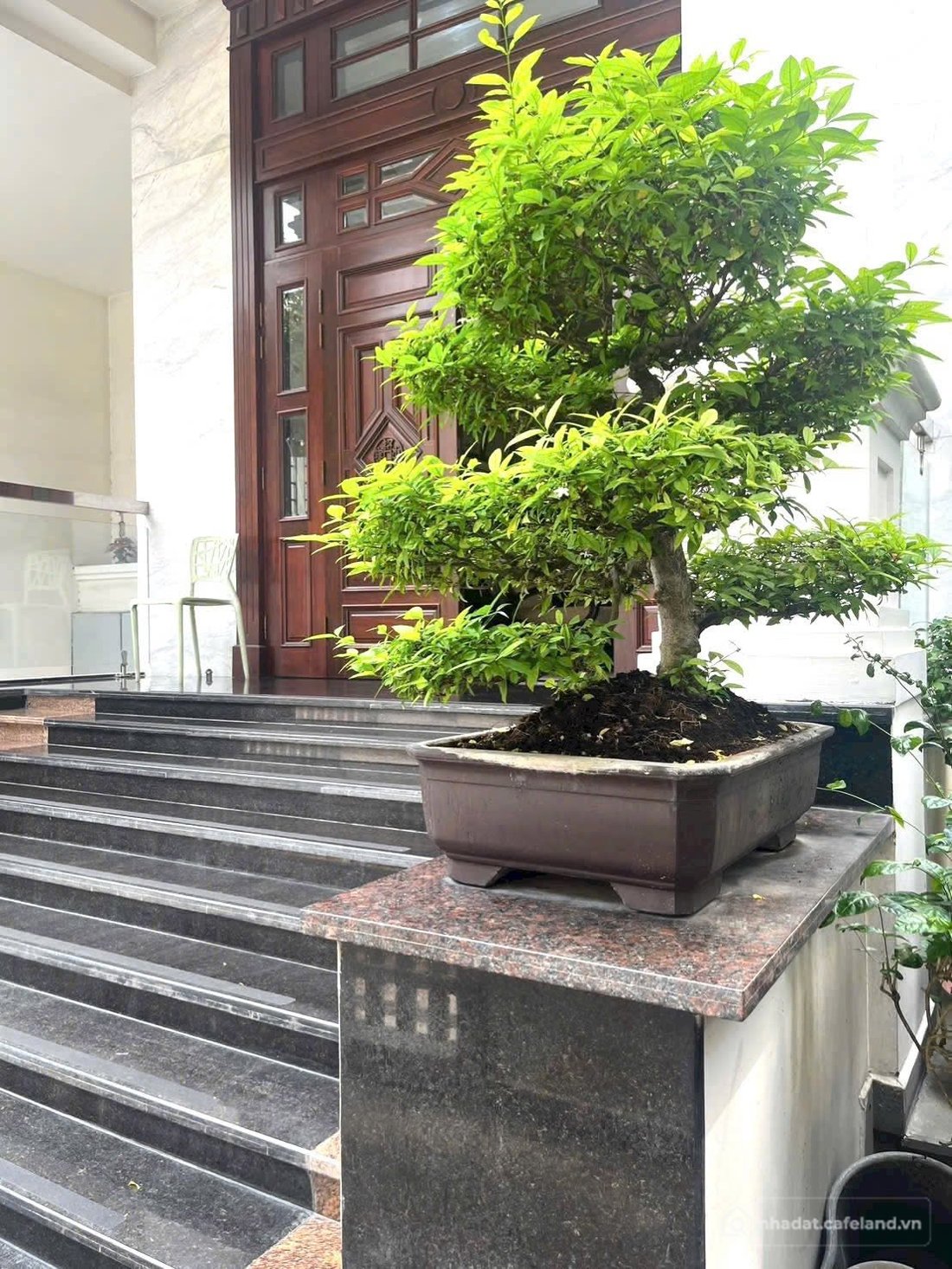 Bất động sản tại TP. Hồ Chí Minh - ảnh 1
