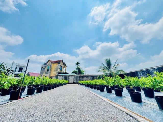 Bất động sản tại Hưng Yên - ảnh 1