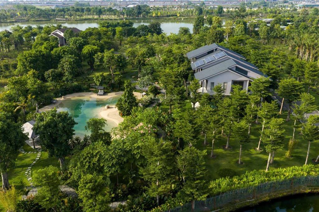 Bất động sản tại Long An - ảnh 1