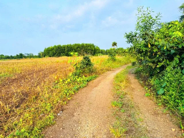 Bất động sản tại Bà Rịa - Vũng Tàu - ảnh 1