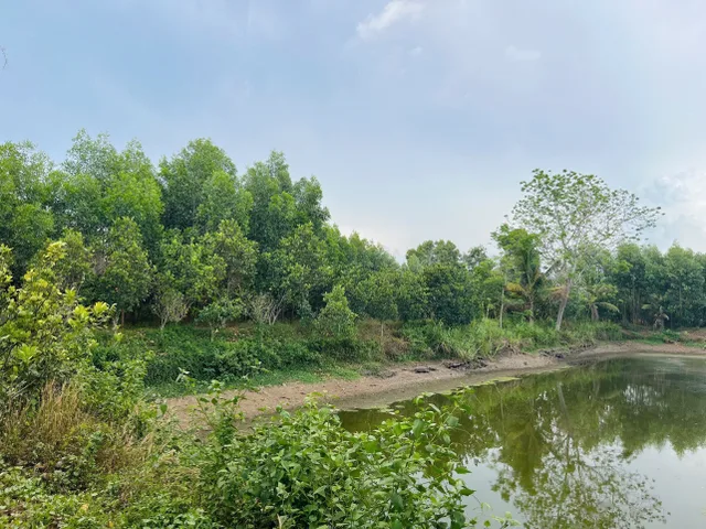 Bất động sản tại Bà Rịa - Vũng Tàu - ảnh 1