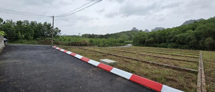 Bất động sản tại Phú Thọ - ảnh 1