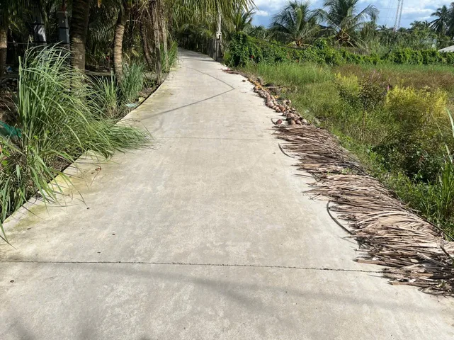 Bất động sản tại Tiền Giang - ảnh 1
