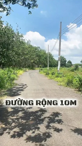 Bất động sản tại Bà Rịa - Vũng Tàu - ảnh 1