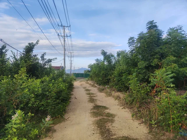 Bất động sản tại Khánh Hòa - ảnh 1