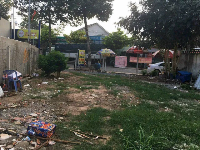 Bất động sản tại Bình Dương - ảnh 1
