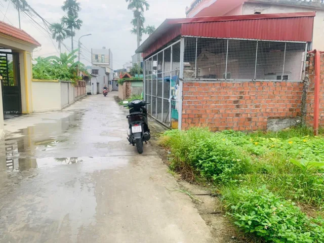 Bất động sản tại Hải Phòng - ảnh 1