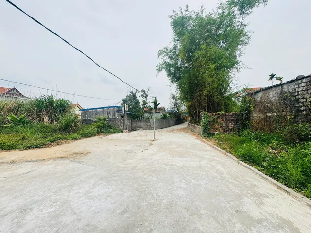 Bất động sản tại Hải Phòng - ảnh 1