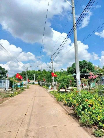 Bất động sản tại Bình Dương - ảnh 1