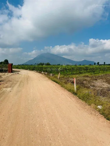 Bất động sản tại Tây Ninh - ảnh 1