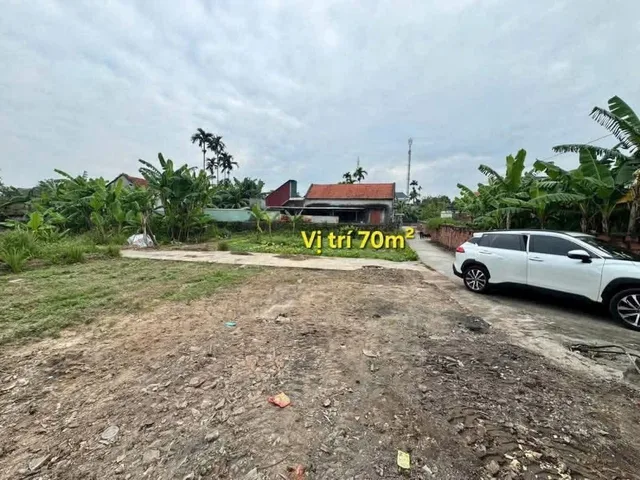 Bất động sản tại Hải Phòng - ảnh 1