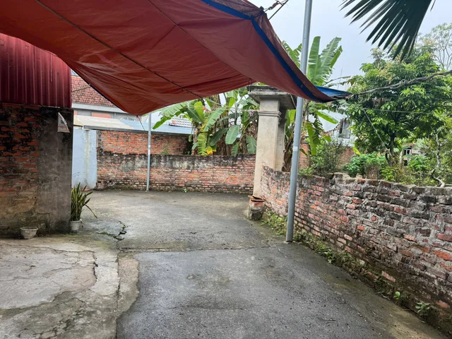 Bất động sản tại Phú Thọ - ảnh 1