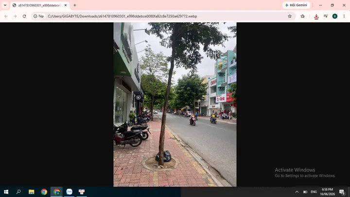 Bất động sản tại Bà Rịa - Vũng Tàu - ảnh 1