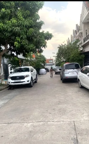 Bất động sản tại Bình Dương - ảnh 1