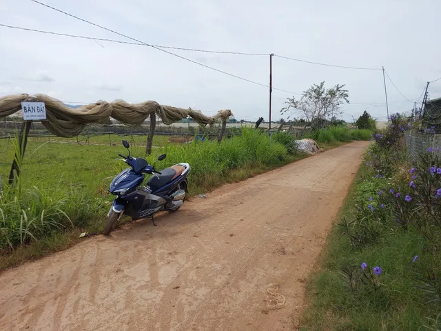 Bất động sản tại Lâm Đồng - ảnh 1