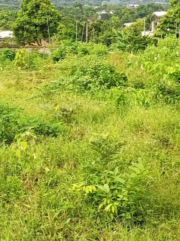 Bất động sản tại Hòa Bình - ảnh 1