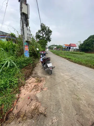 Bất động sản tại Long An - ảnh 1