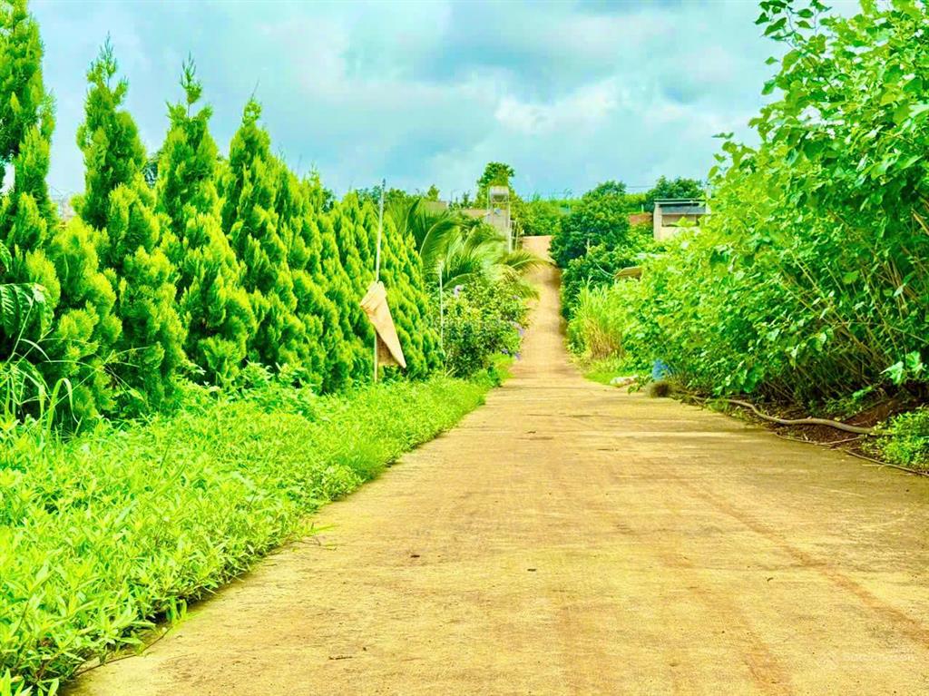 Bất động sản tại Lâm Đồng - ảnh 1