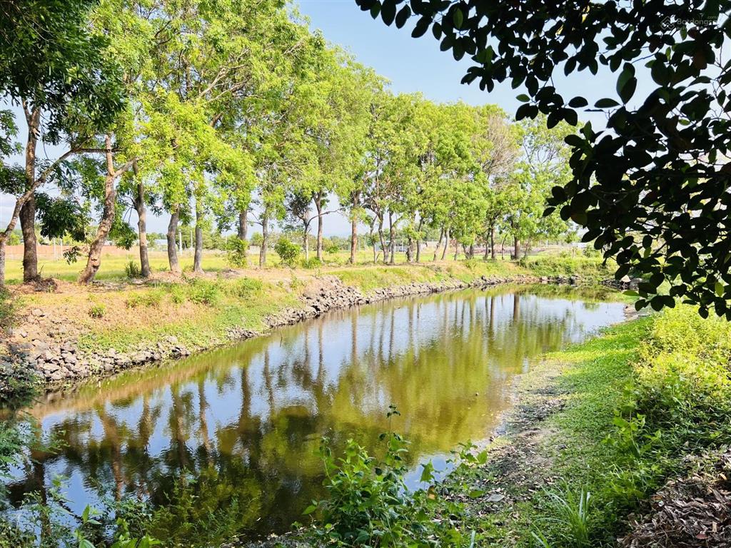 Bất động sản tại Bà Rịa - Vũng Tàu - ảnh 1