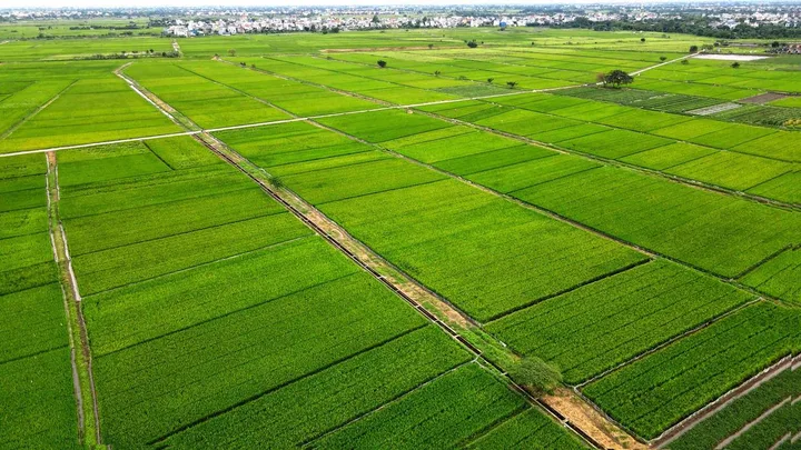 Bất động sản tại Đồng Nai - ảnh 1